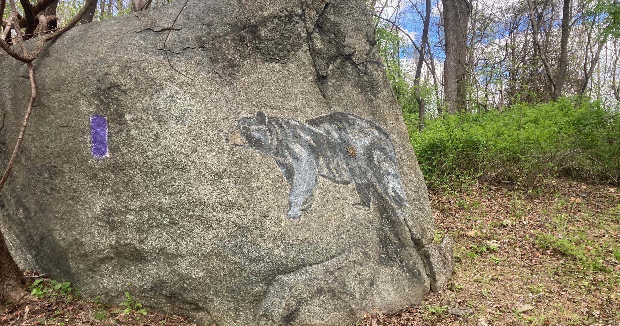 Chapman Mountain Ancient Bear Trail Adventure in Virginia