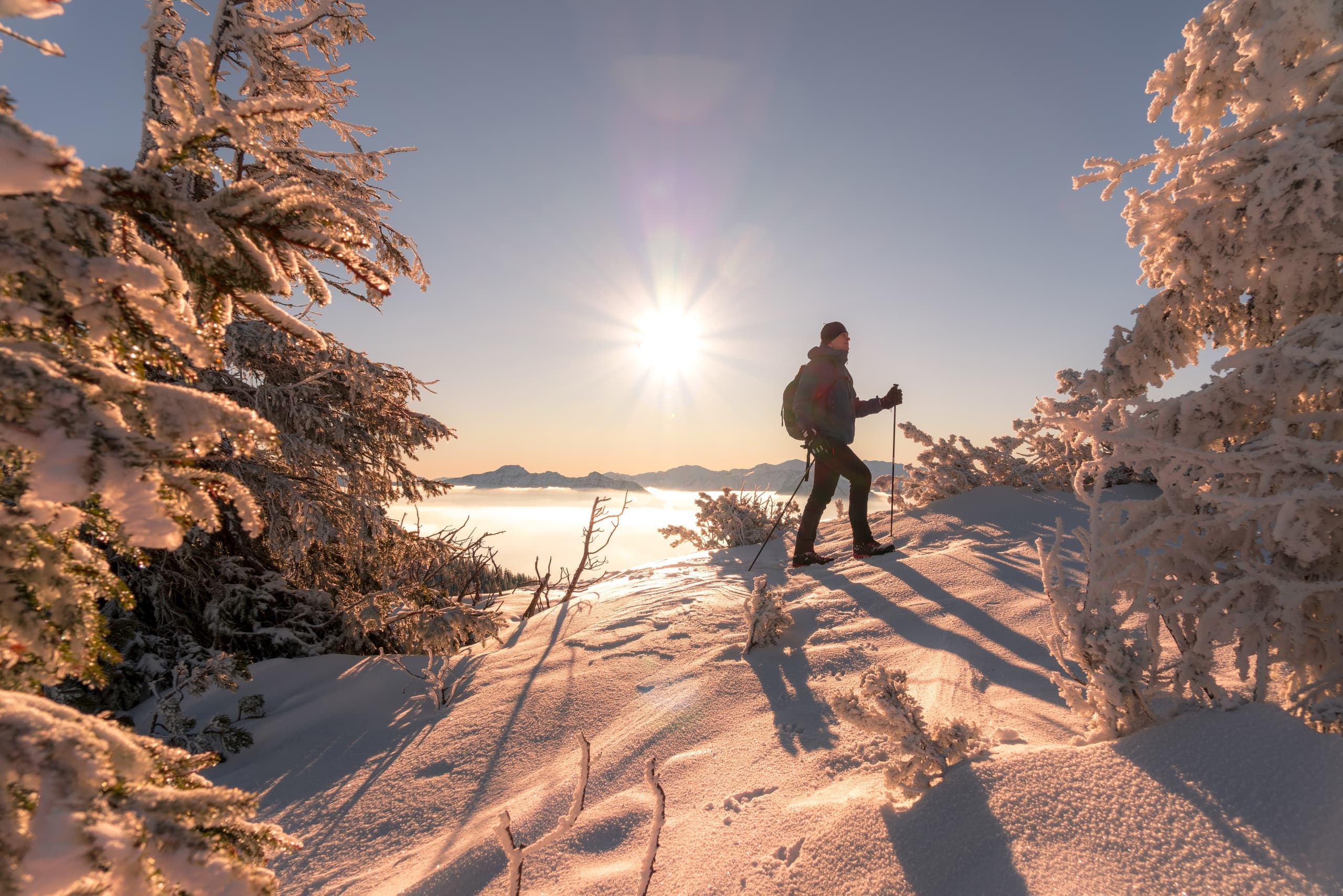 Mt. Hood Snowshoeing Adventure from Portland, Oregon