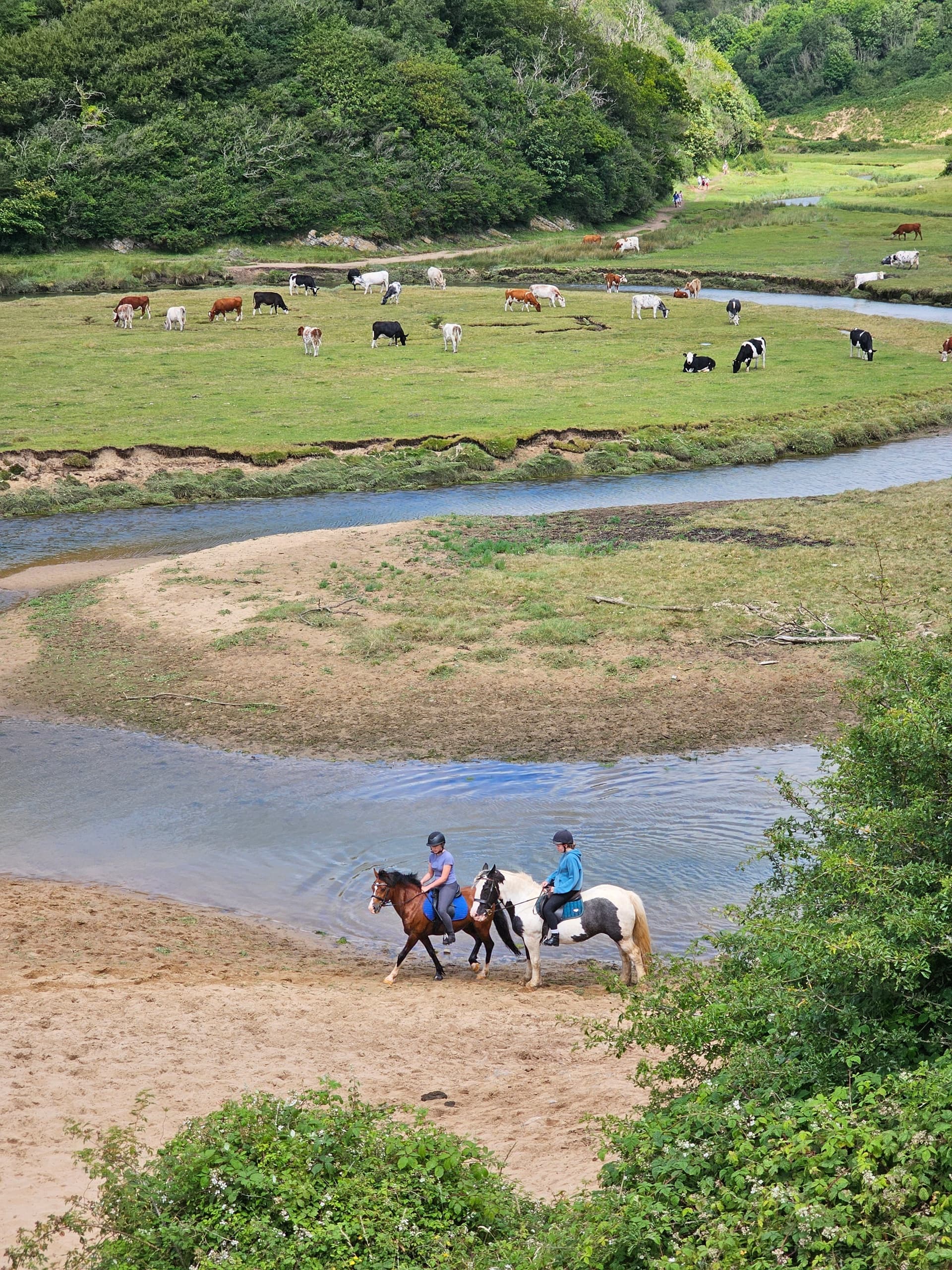 Three Cliffs Bay Circular Walk: Guided Coastal Hike on Gower Peninsula photo 3