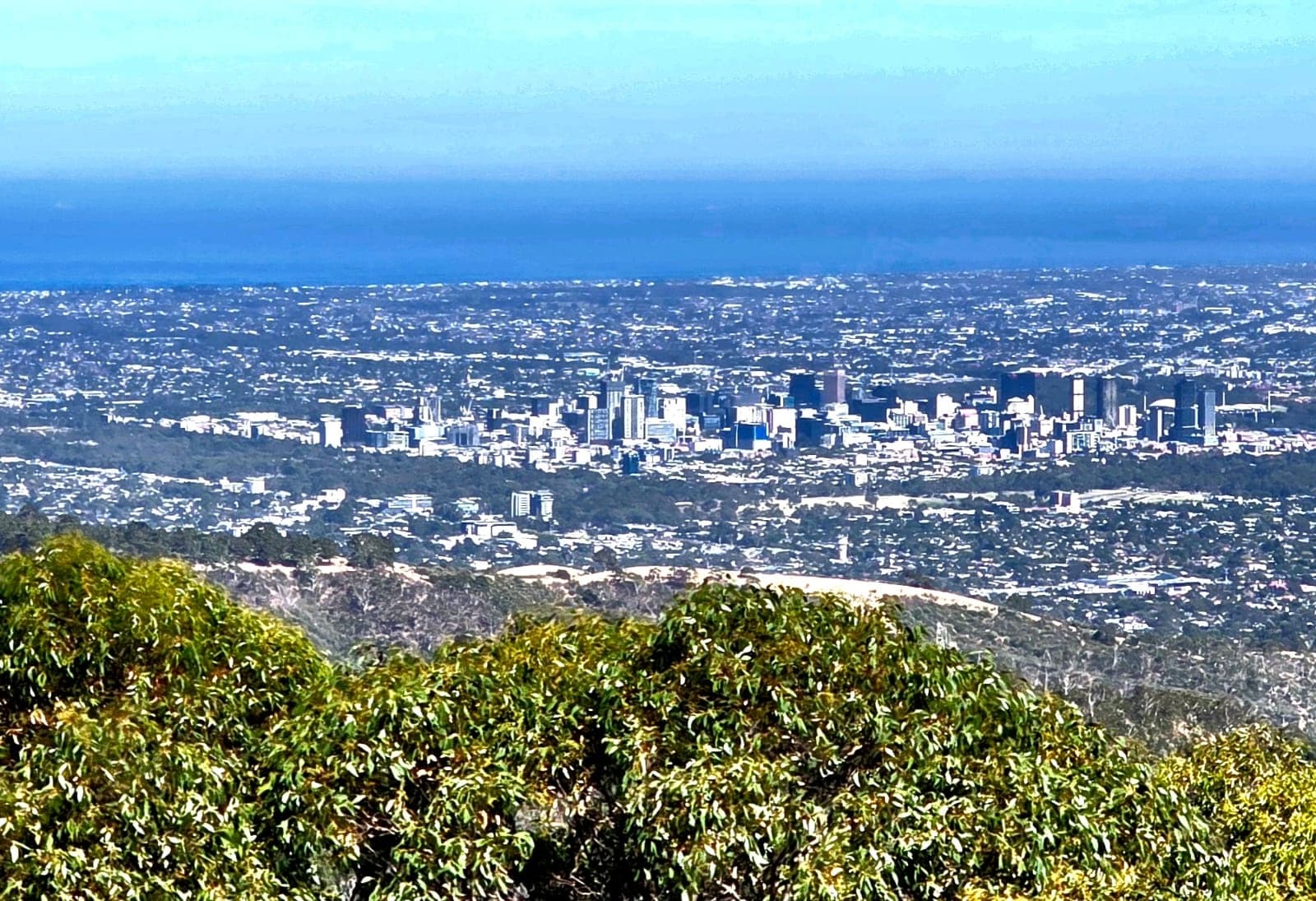 SA Hills & Wildlife Tour: Mount Lofty, Hahndorf, Victor Harbor & Urimbirra photo 3