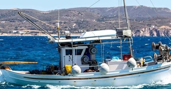 Fishing Adventure with Captain Quick in Inland & Nearshore Waters