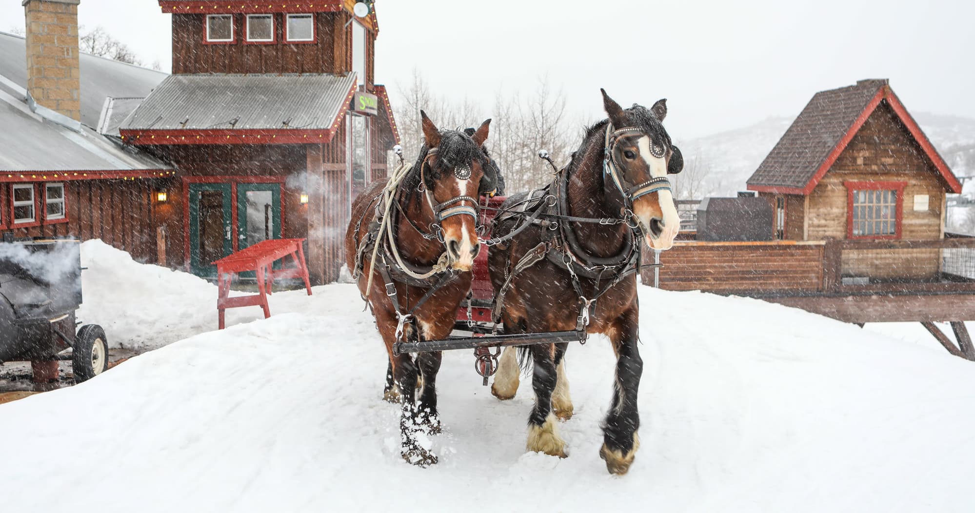Snowed Inn Sleigh Company team