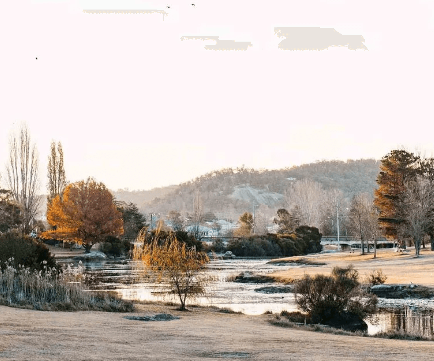 Granite Belt Heritage Rail: Warwick to Stanthorpe & Girraween Day Tour photo 2