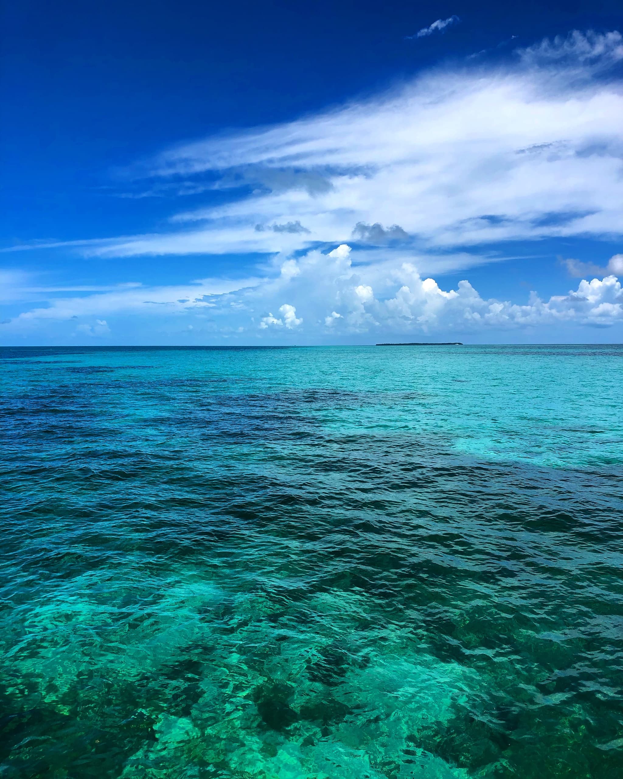 Silver Tide Charters fleet
