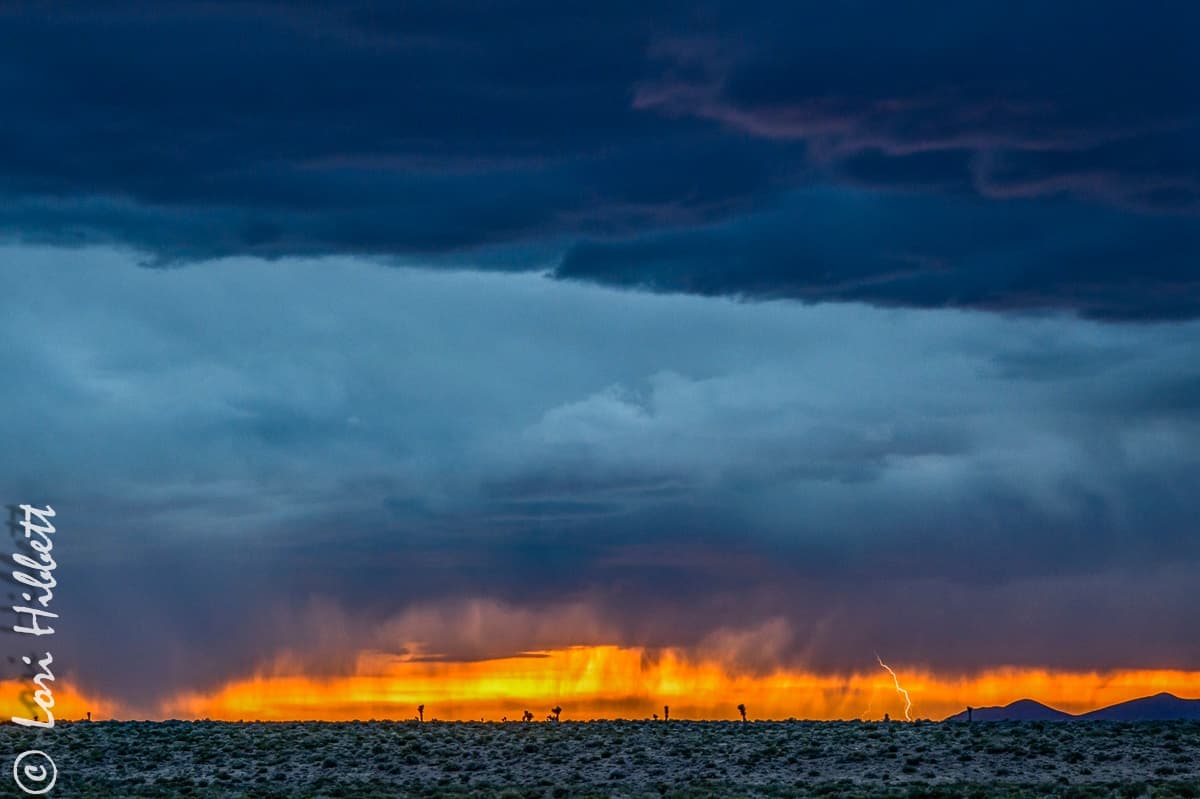 Nevada Backroads Adventure: Night Sky Photography from Gardnerville