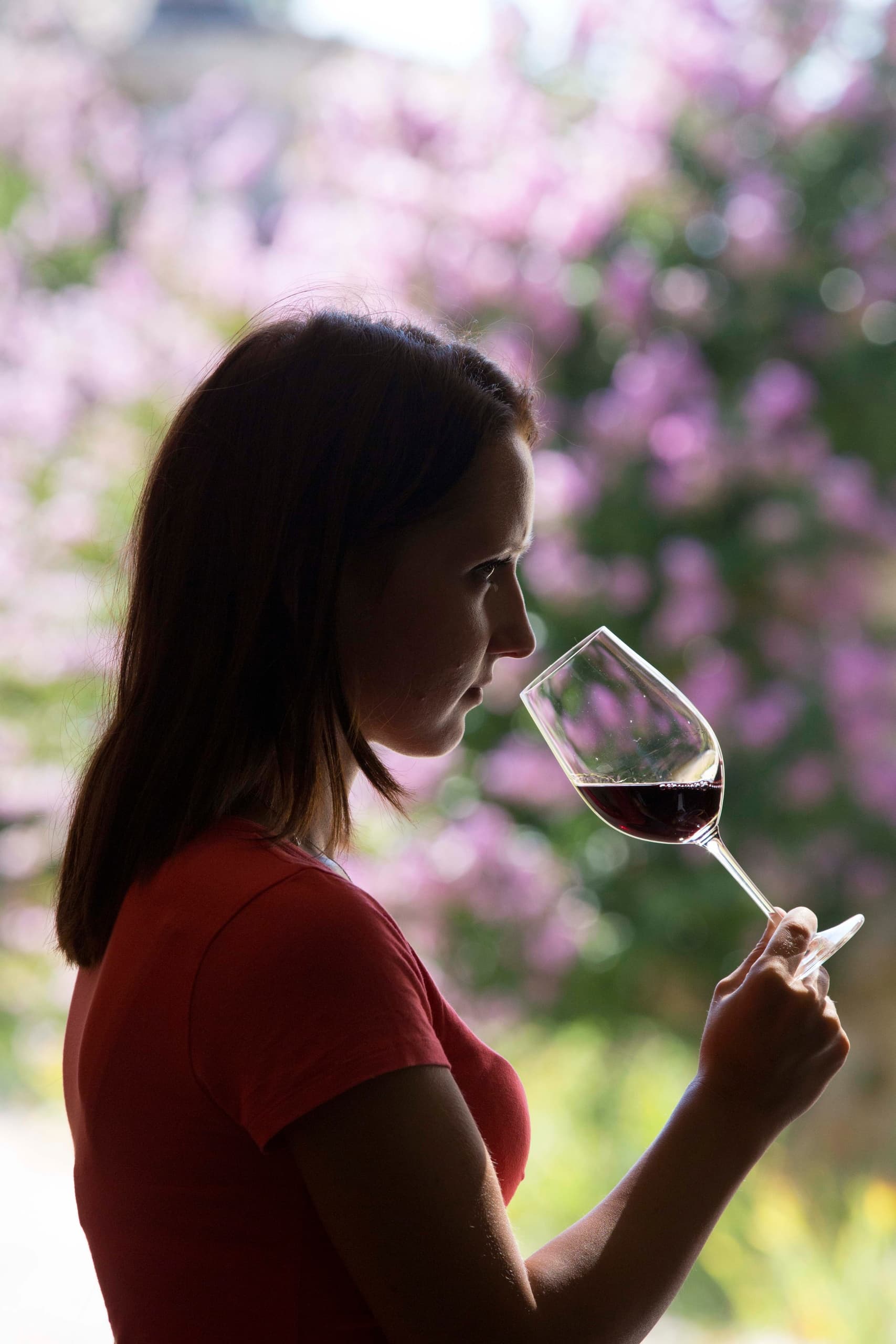 Wine Tasting & Vineyard Tour at Château Olivier