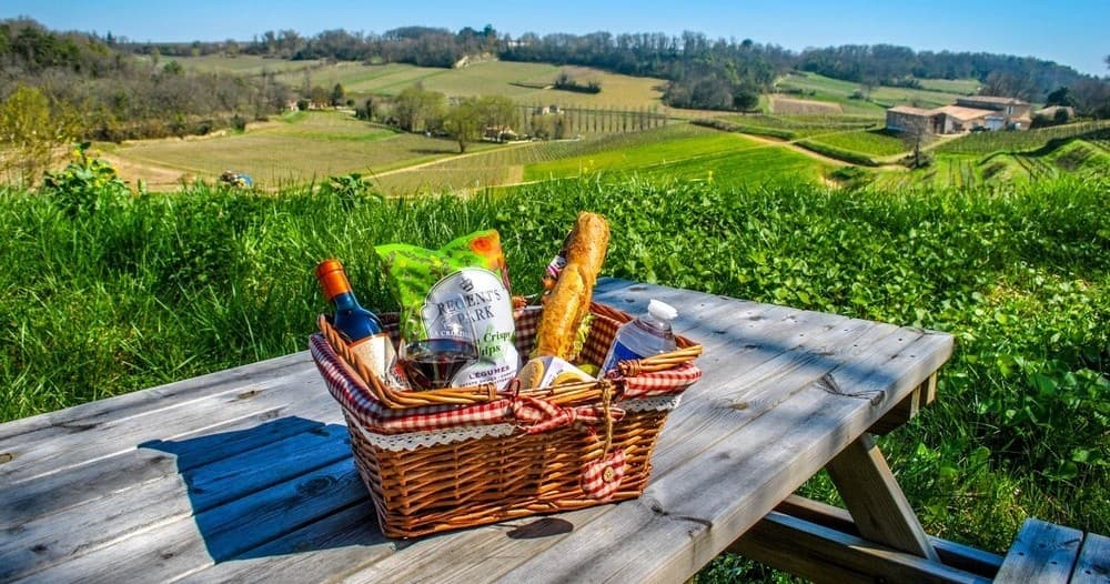 Bordeaux Winemaker's Picnic | Farm in Saint-Laurent-des-Combes | Winery, Wine