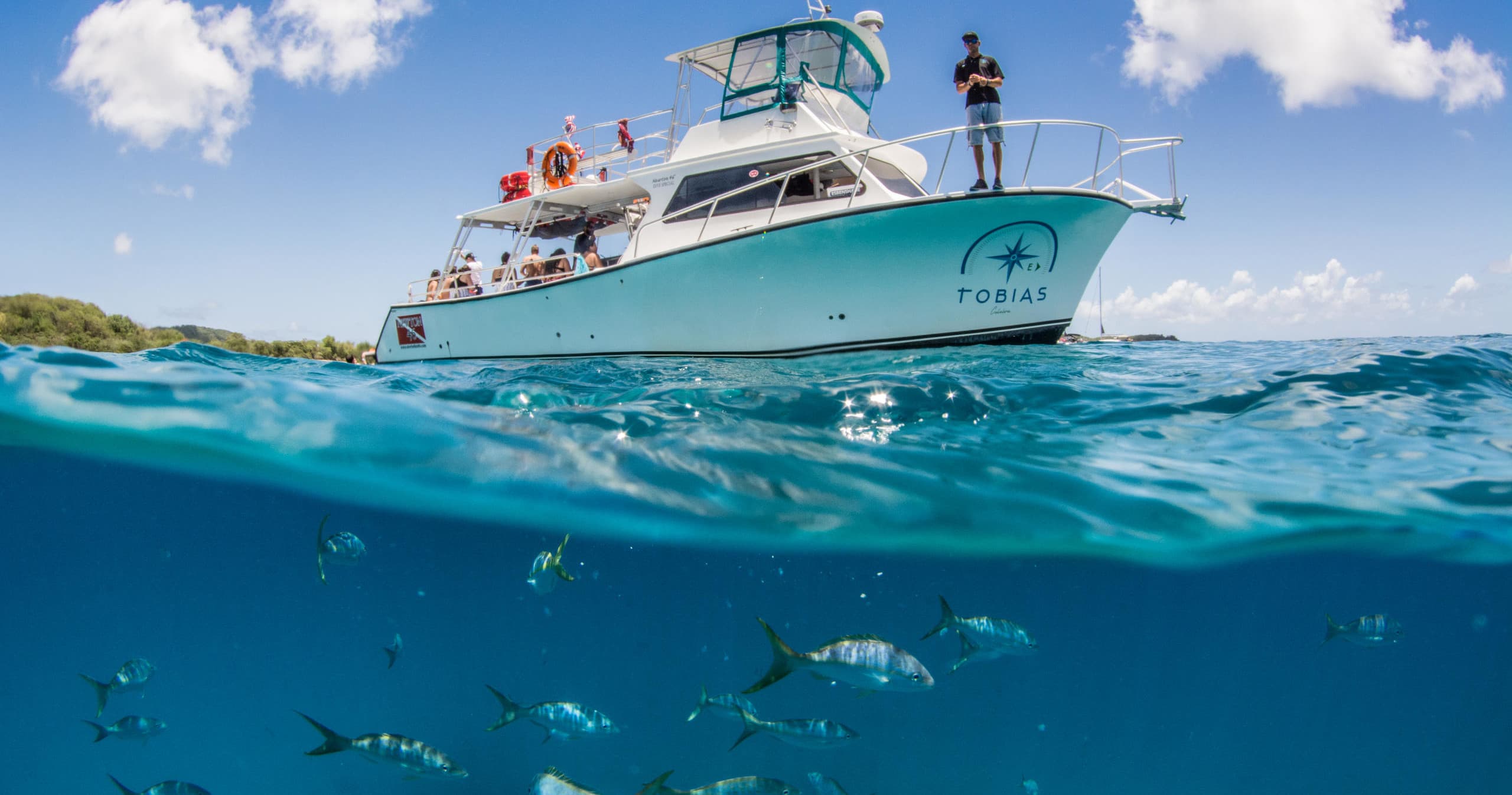 Split-level boat above coral reef with snorkelers and fish
