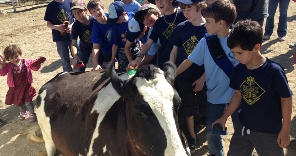 Animal Connection Field Trip in Santa Clarita, CA