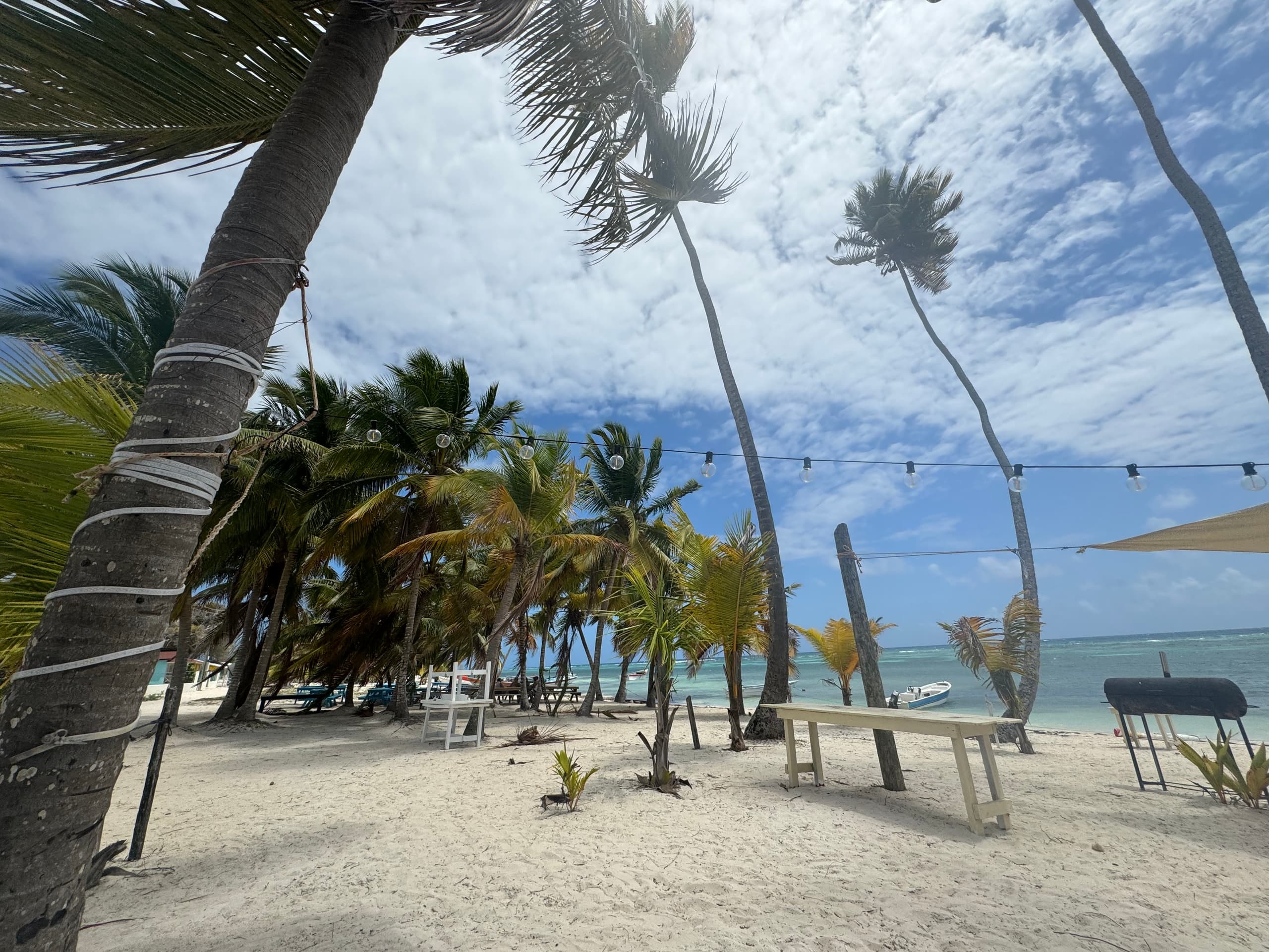 Aquazul Tours fleet