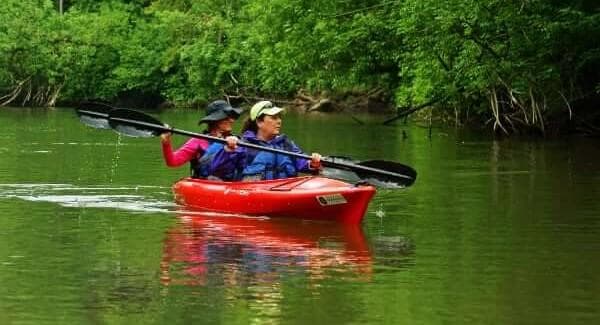 Cook Park Double Kayak Adventure in Tigard, Oregon
