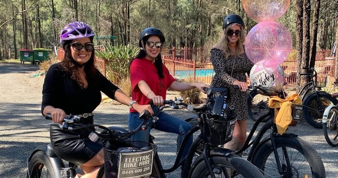 Picnic & Bike Tour with Sutton Estate Electric Bike Hire
