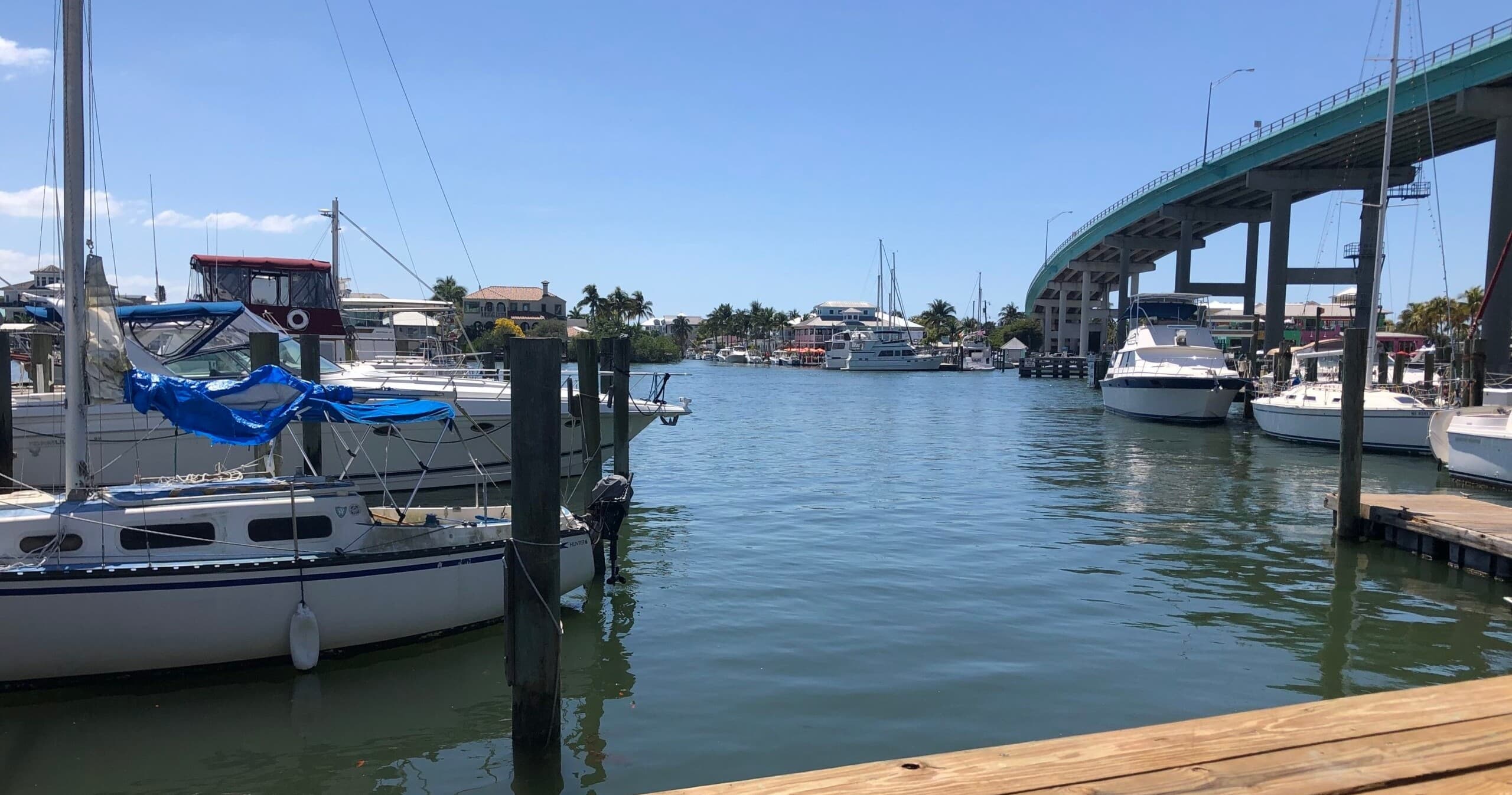 Explore Southwest Florida’s Mangroves and Wildlife on a Cape Coral Canal Cruise