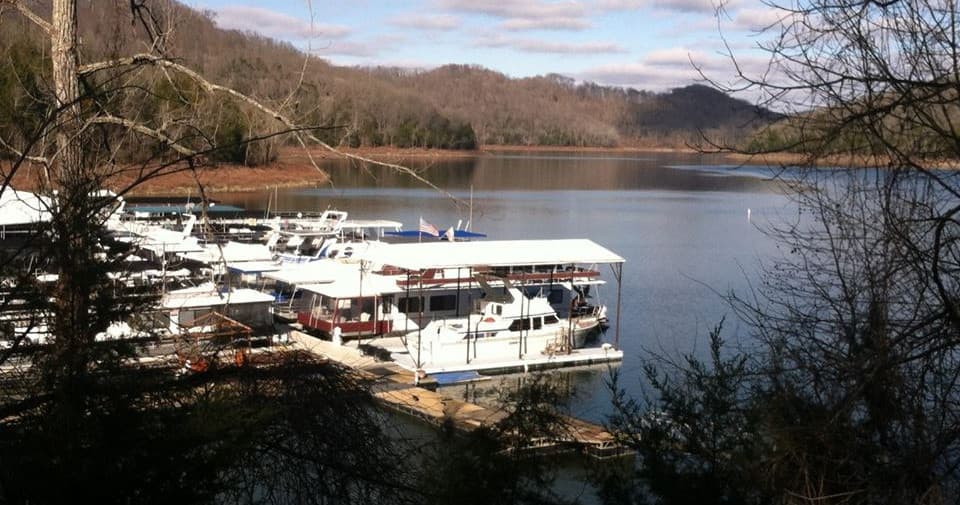 Marina with houseboats and lake view at wooded shoreline