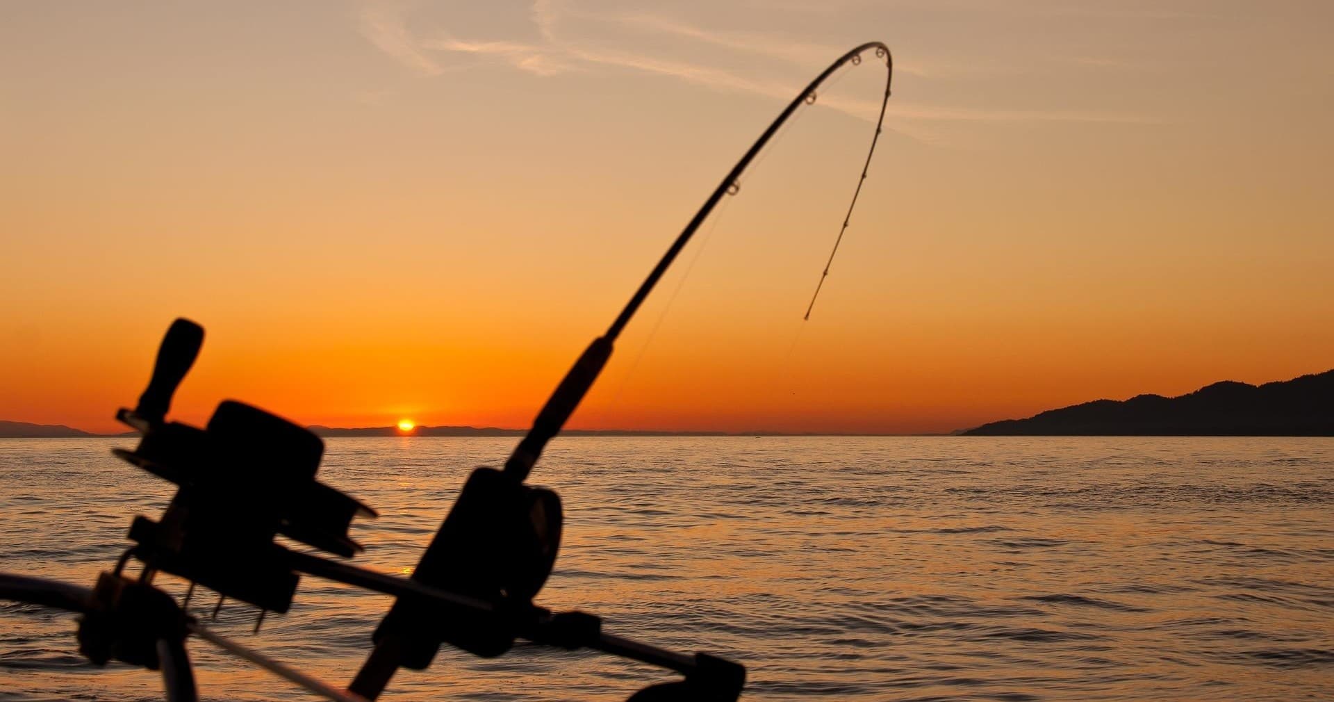 Fishing rod silhouette at sunset over open ocean horizon