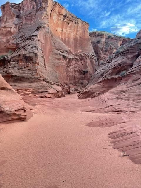 Desert canyon hiking trail with open sky and sandstone walls