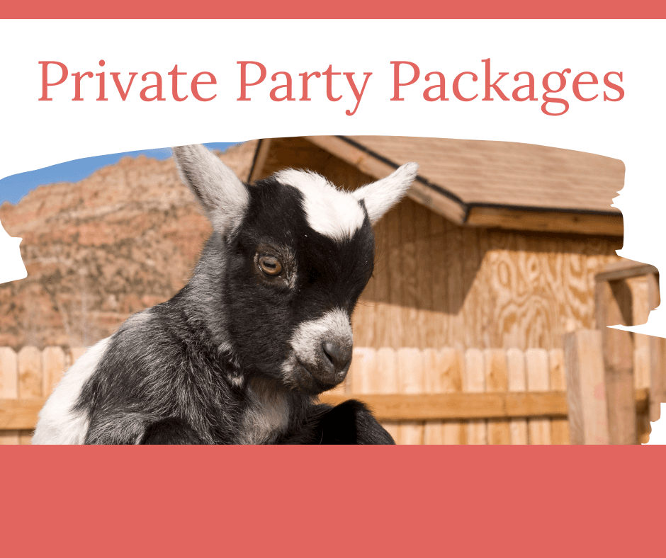 Private Goat Yoga Party in Brookshire, Texas