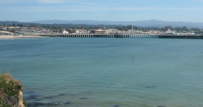 Wildlife & Sunset Cruise with Santa Cruz Coastal Charters