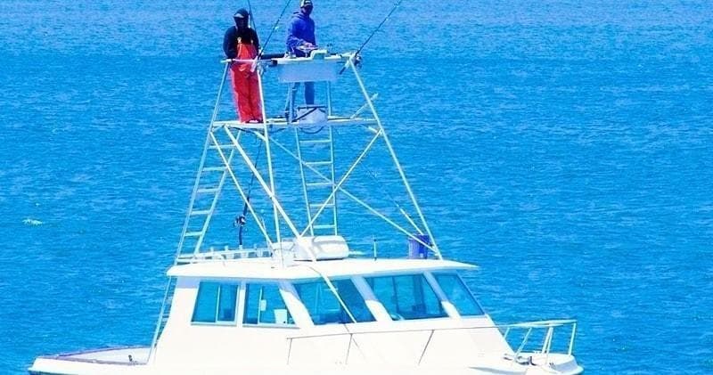 Watercraft Charter at Wild Orange by Zeke's Landing Marina