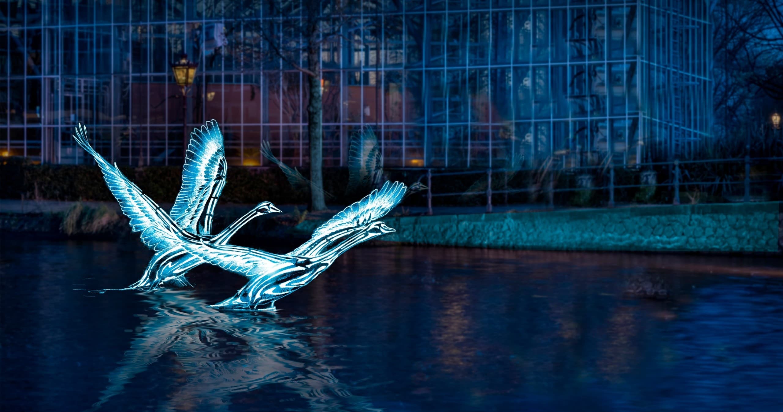 Experience the Amsterdam Light Festival by Boat: A 75-Minute Winter Canal Cruise