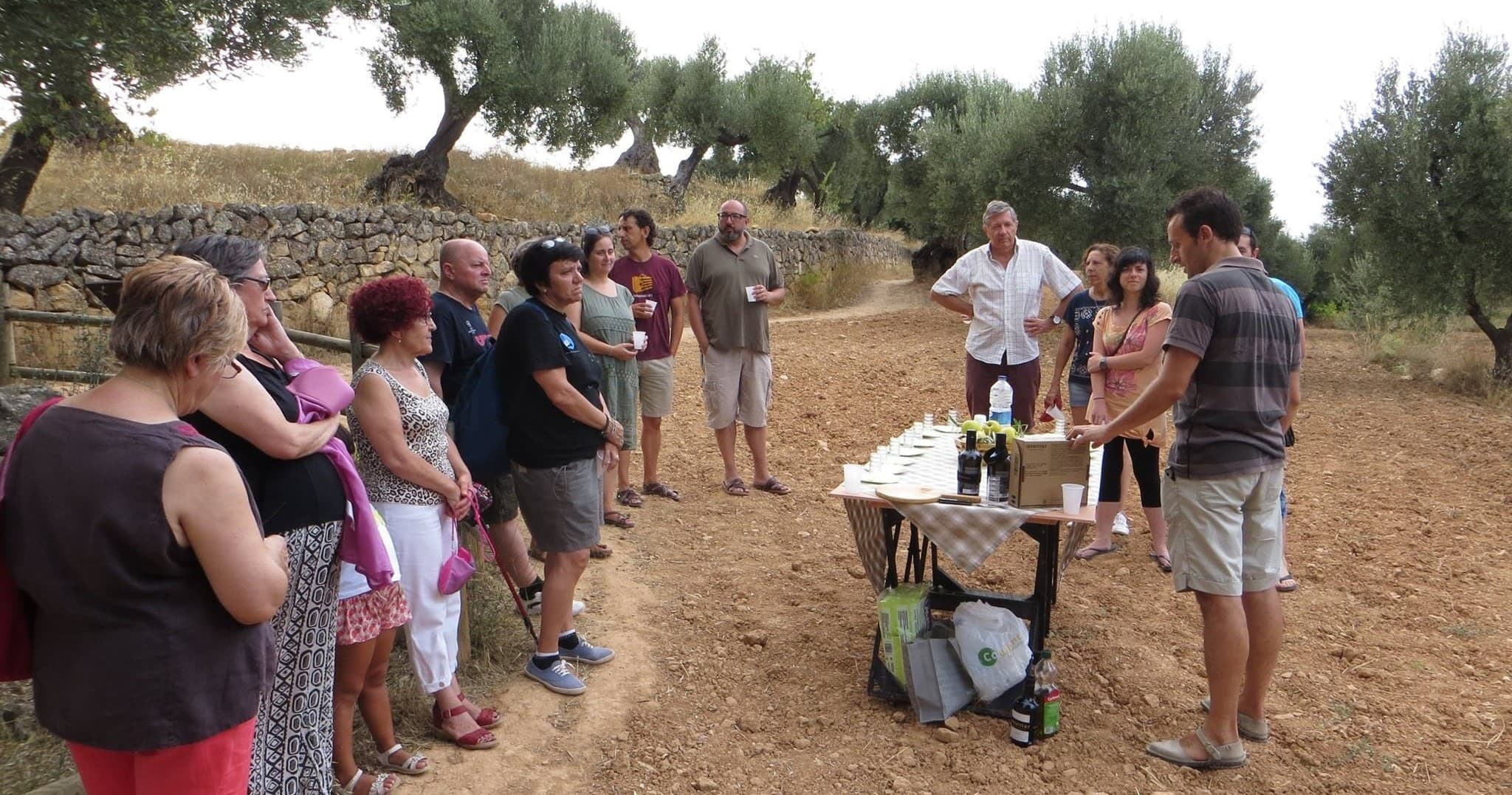 Olive Oil Workshop at Identitat in Horta de Sant Joan