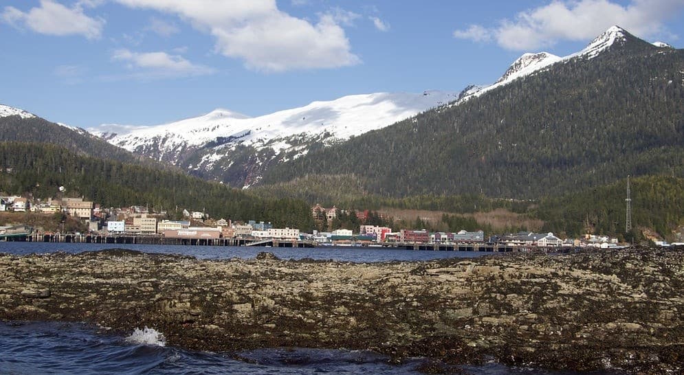 Inside Passage Wildlife Cruise from Ketchikan: 2.5-Hour Sea and Shore Tour photo 3