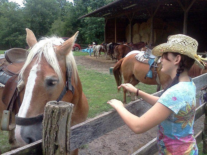 Experience the Flame Azalea Trail: A Scenic Horseback Ride in Cullowhee, NC
