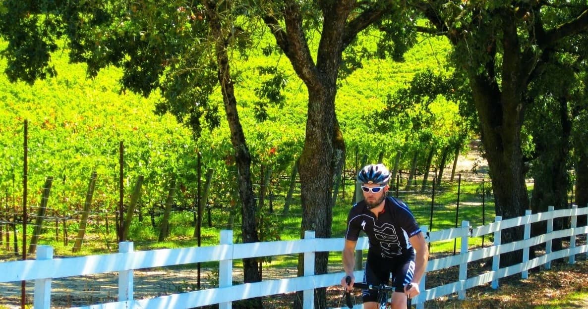 Velo 'N Vino Tour: Scenic Bike Adventure in Healdsburg