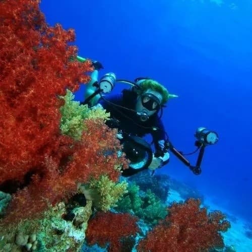 Diving Adventure with Kanaloa in Jávea
