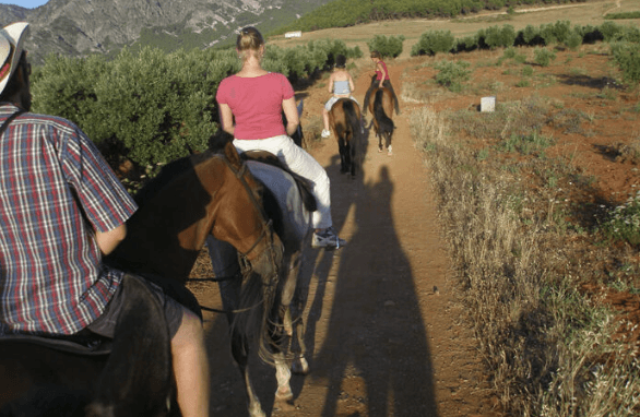 Trail riders on horses navigating dusty countryside panoramic view