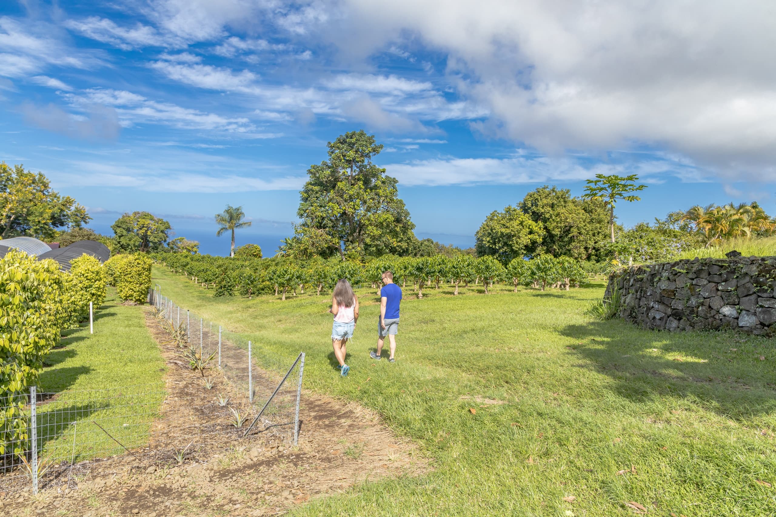 Kona Historical Boat & Food Tour in Kailua-Kona