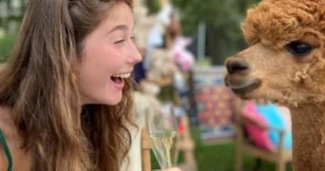 Land Adventures at Alpaca Zeeland: Bubbels & Wandeling Experience