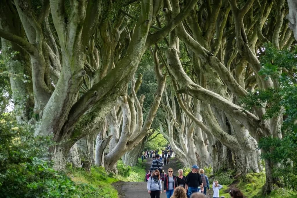 Braveheart & Game of Thrones Tour with Ancient East