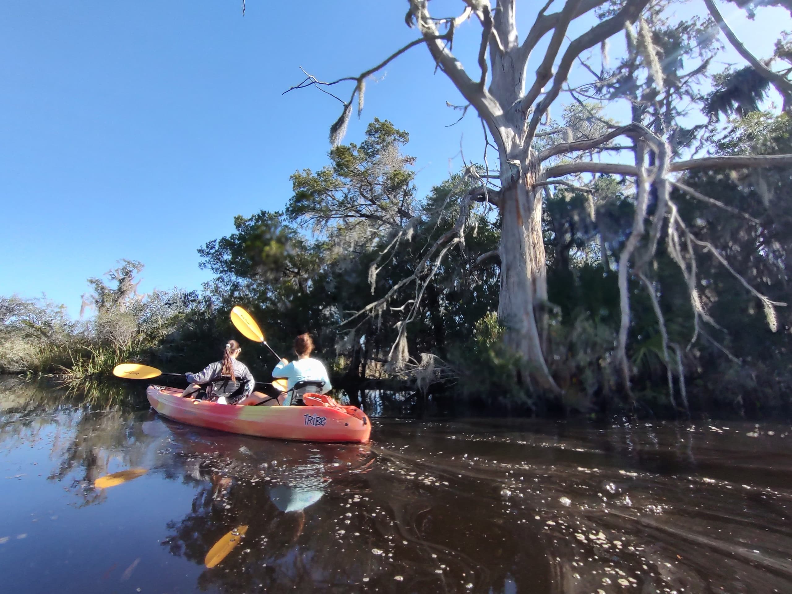ACE Basin Paddle Adventure on the Combahee River