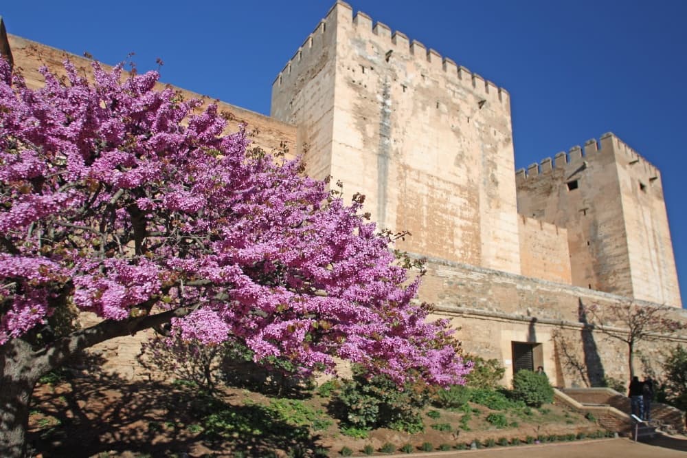 Alhambra Journey with Granavision Excursions in Granada