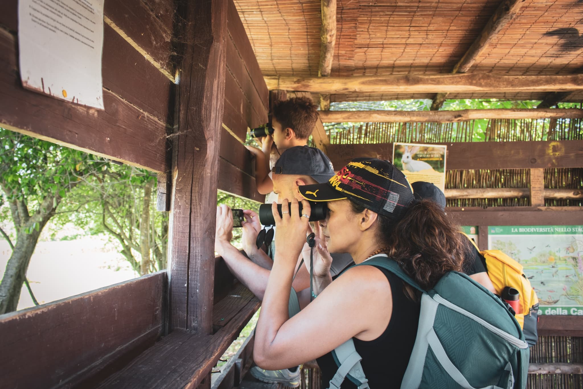 Seasons of Flight: Birdwatching in Caffarella Park, Rome