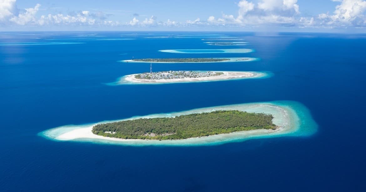 Survival Adventure at Reality Park: Pacific Island Escape