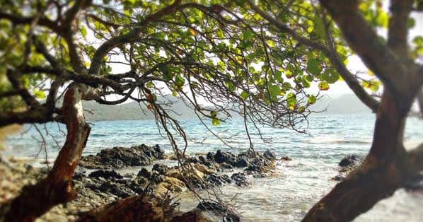 Hiking Excursion at Brown Bay, St. John, USVI