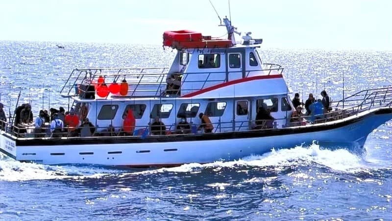 Spacious Deep-Water Fishing from Hampton: 10-Hour Limited Load Trip