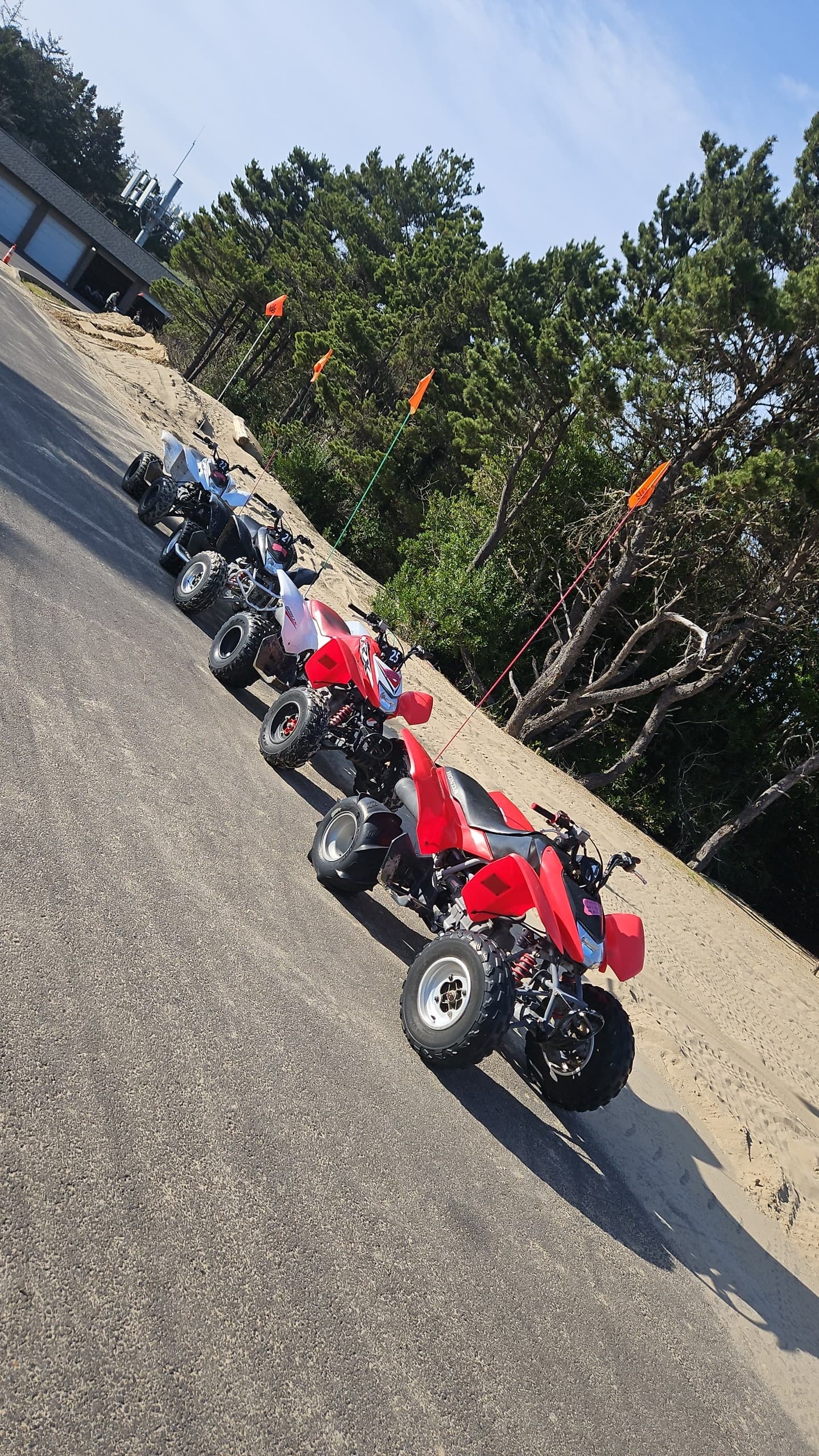 Honda TRX 250