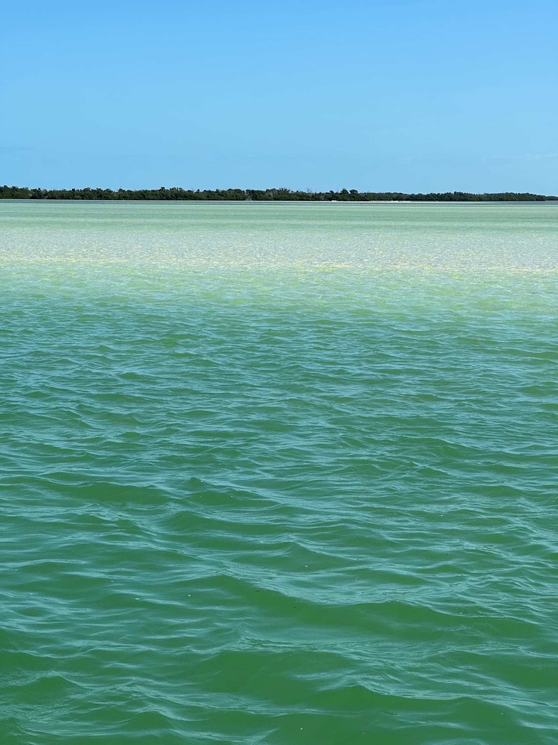 27-Foot Pathfinder Eco Tour and Sunset Cruise in Big Pine Key