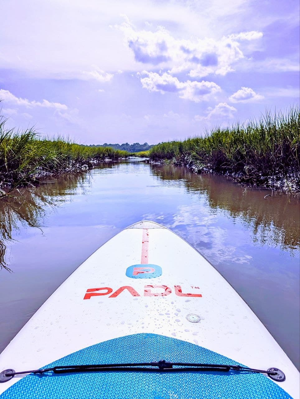Explore Florida’s Salt Marshes: Guided Paddle Adventure from PADL Amelia