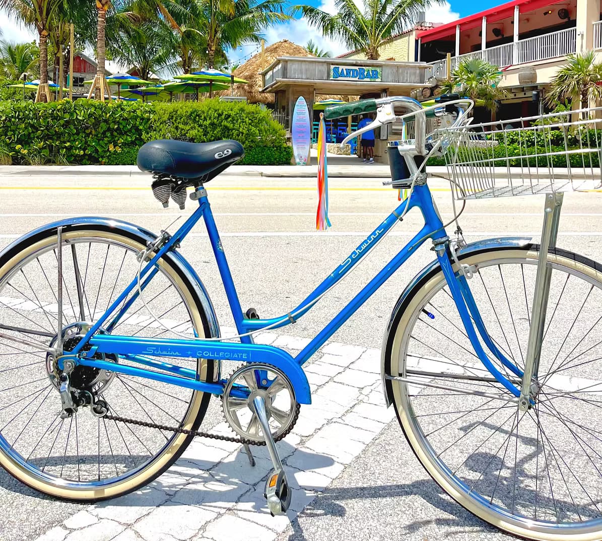 Leisurely Schwinn Collegiate Rides with Seaside Bicycle Rentals
