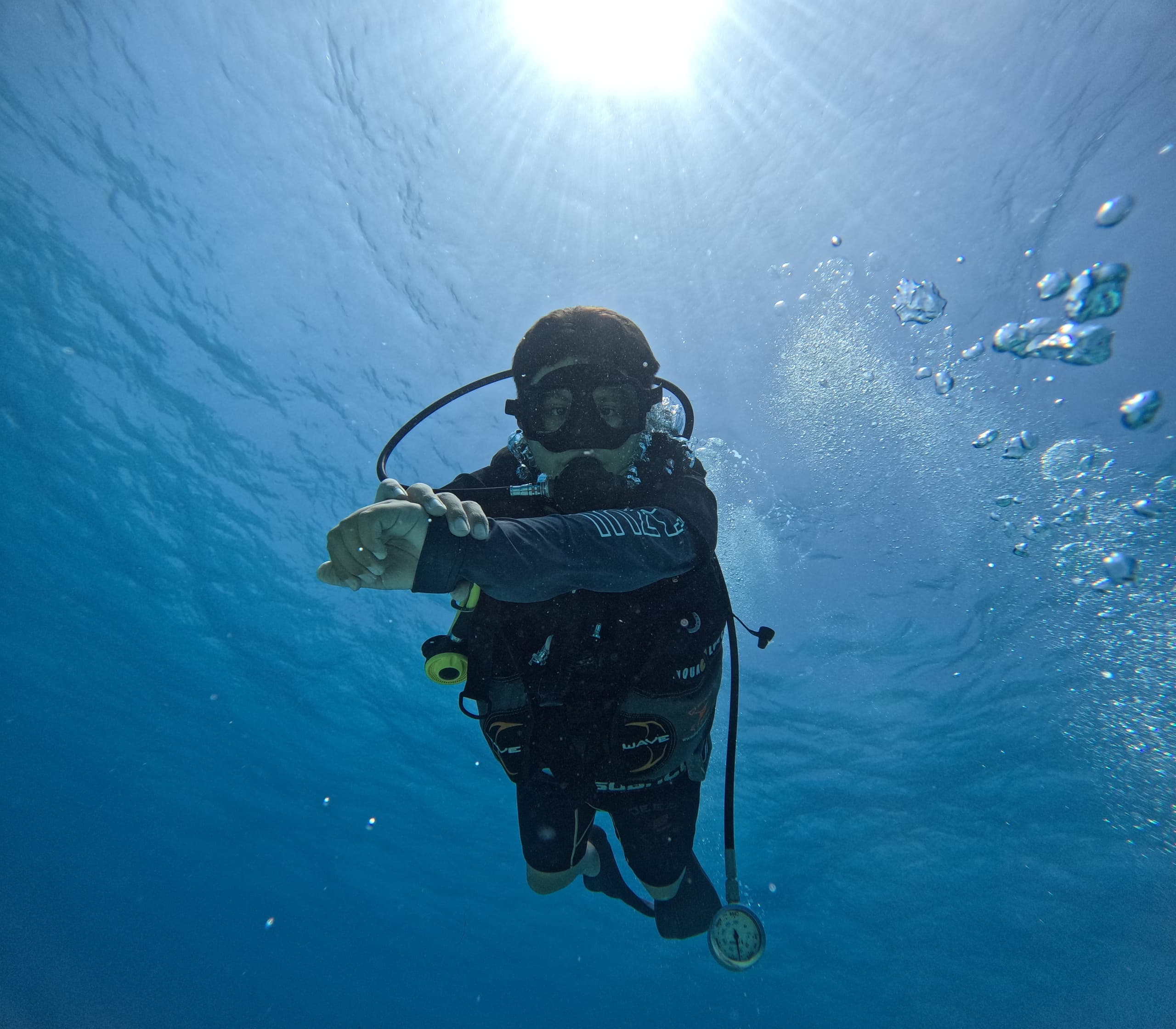 Private Cancun Scuba Diving Charters: Explore the Caribbean’s Best Reefs and Wrecks