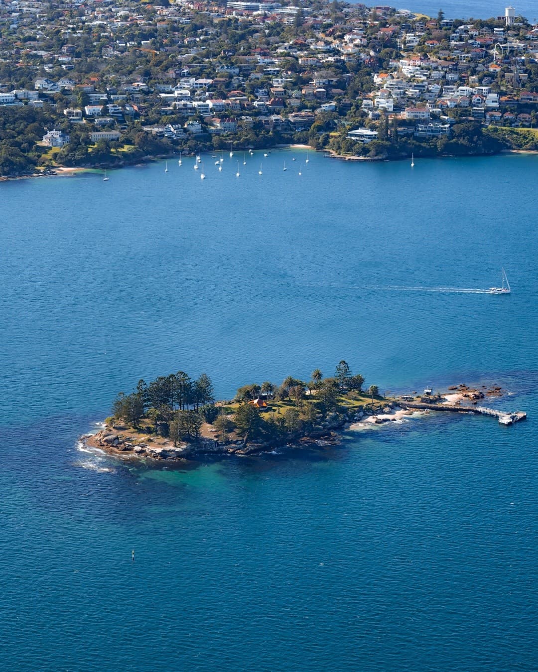 Seaplane to Shark Island: Sydney Highlights Flight and Picnic from Rose Bay