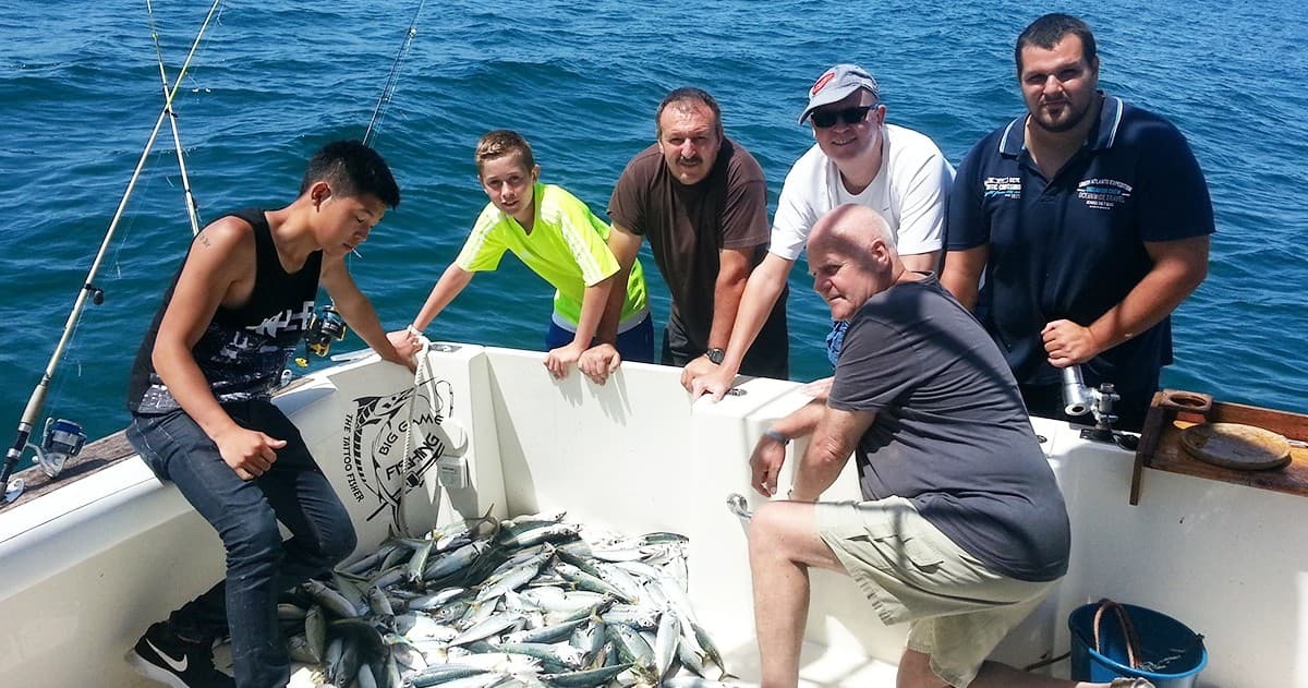 Group anglers with big mixed catch on boat during sportfishing
