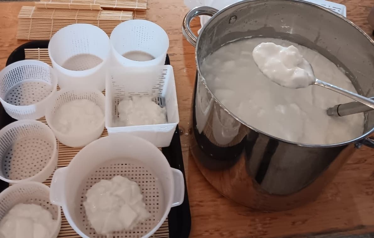 Hands-On Cheese Making Workshop in London: Make Three Cheeses in One Day