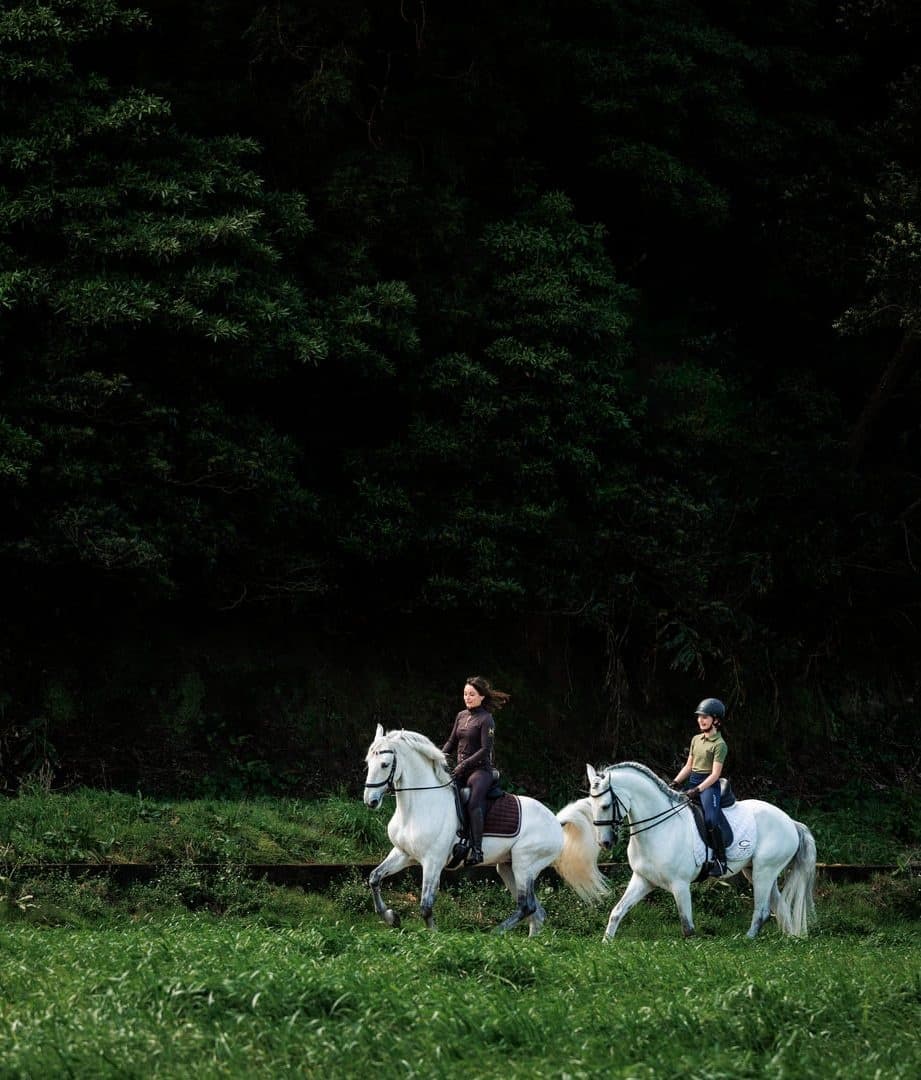 Equestrian Land Adventure at Lusitano Villas