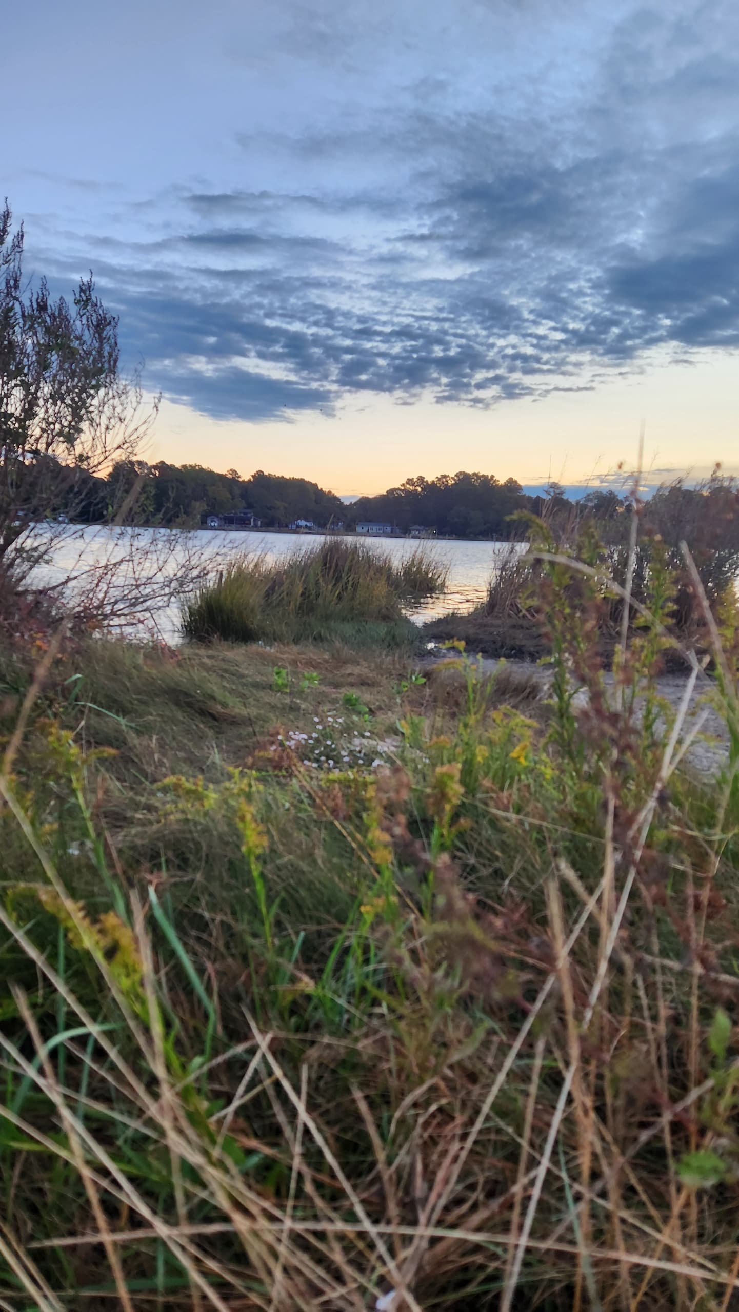 Explore Gloucester’s Marshes on the Tour de Chesapeake Kayak Adventure