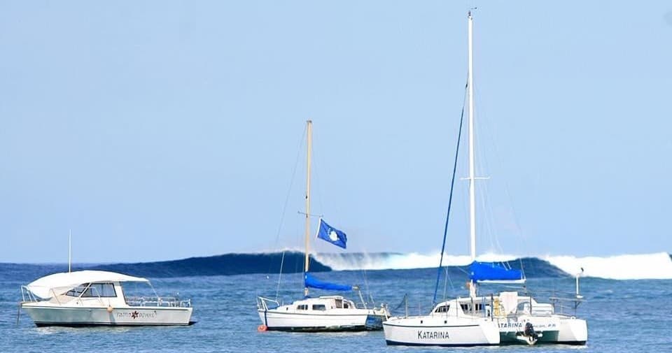 Water Activities: Katarina Sail Charters' Snorkeling Adventure